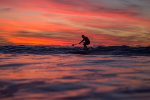 supconnect: “Andy Dawson sliding at sunset.” : Tim Axford (at Saint Ouen, Jersey)