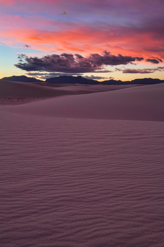 expressions-of-nature:  by Jane Wei Ocean of Violet 