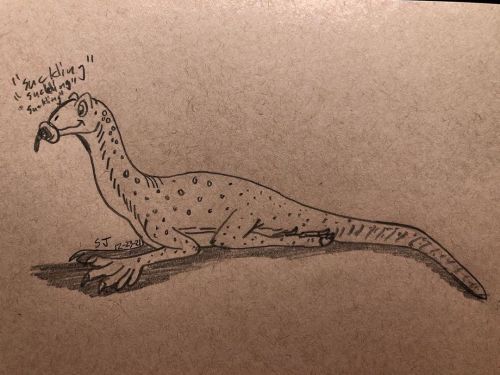 Day 21 to 23 of the week 4: Your favorite dinosaur (as a baby) A baby Mussaurus patagonicus is sucki