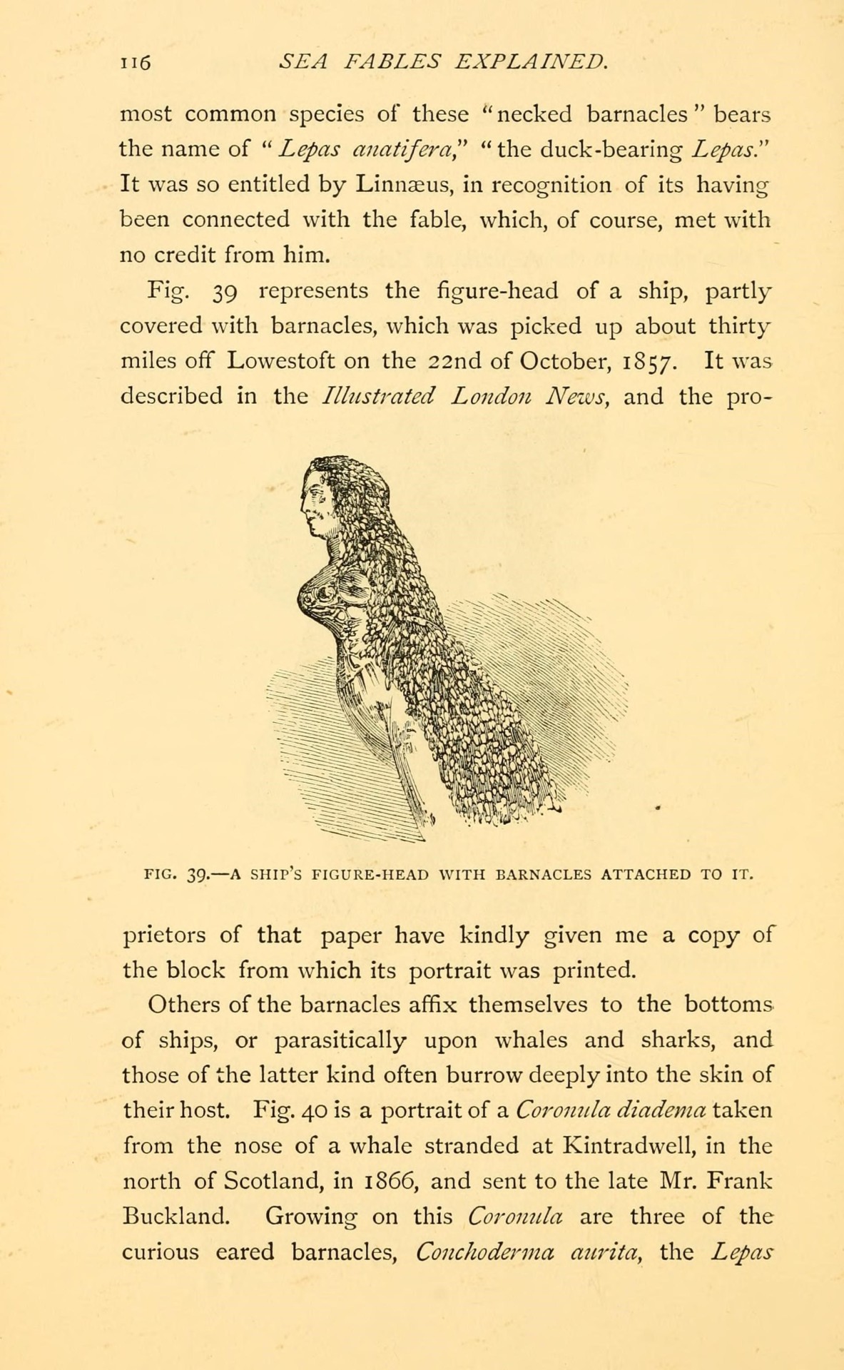 🧜‍♀️ Sea fables explained /.
London: W. Clowes and sons, ltd., 1883.