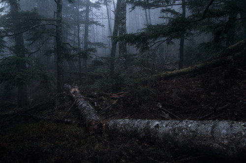 North Yatsugatake mountains / Nagano Prefecture by Seiuchi F