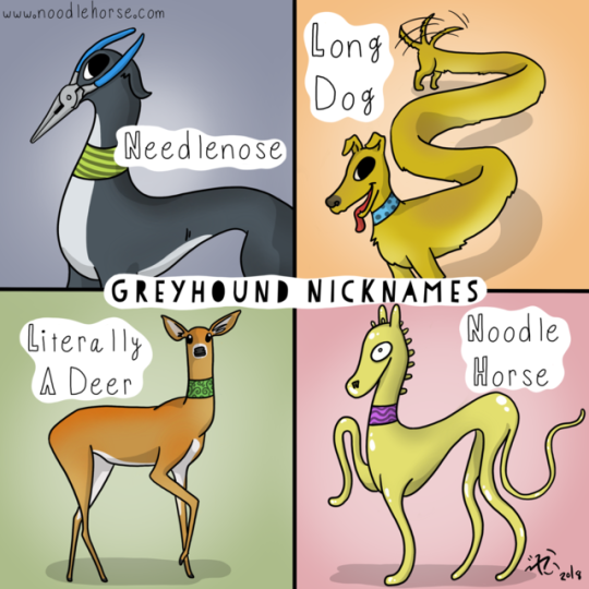 noodlehorsecomics:  