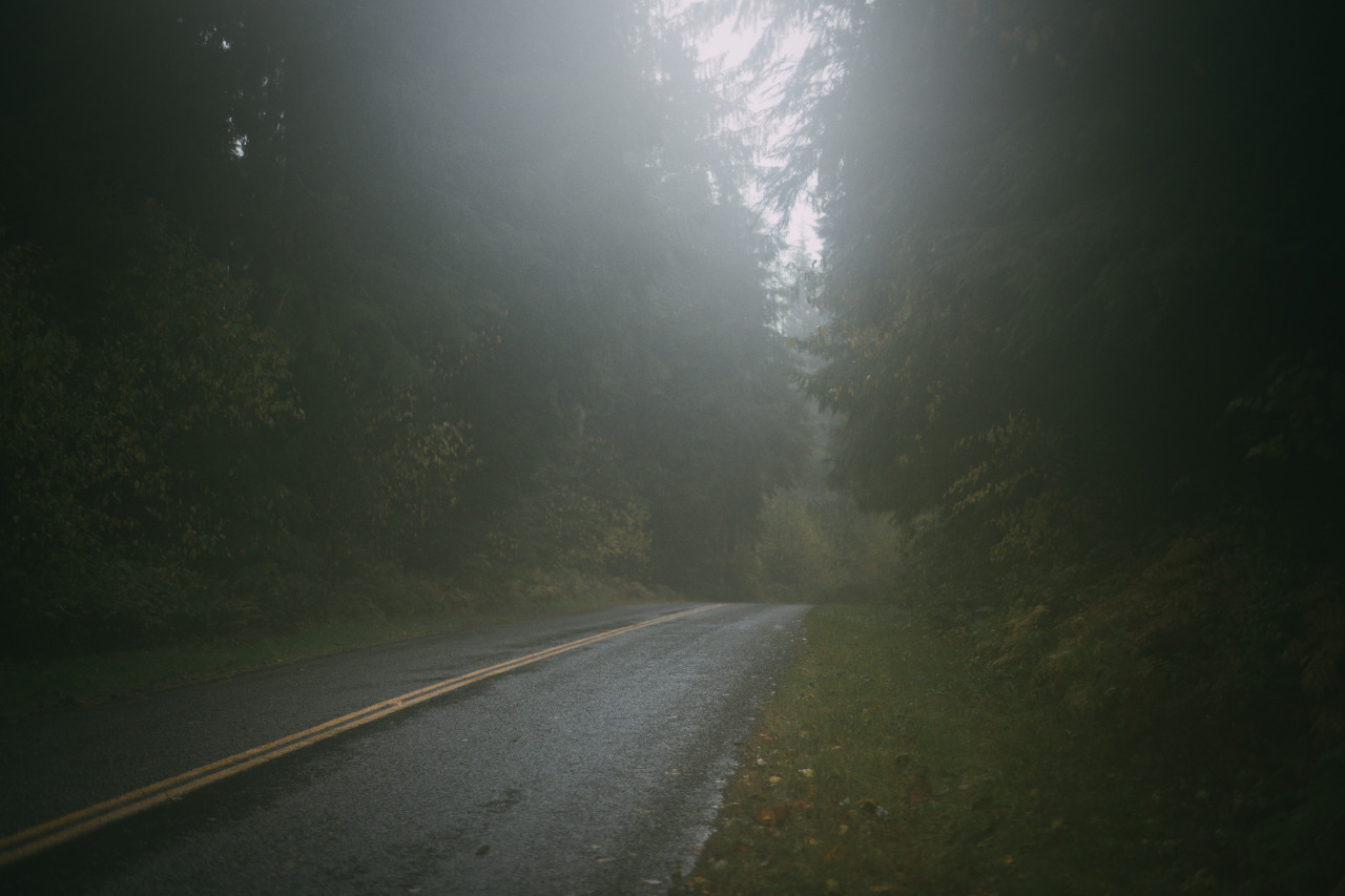 Mist #nature#landscape#lensblr#original photographers#photography #photographers on tumblr #Washington#vsco#pacific northwest#p