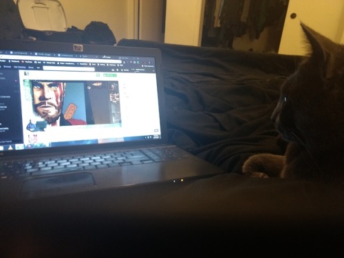 Yasha is watching @portraitoftheoddity ’s art stream with great interest.