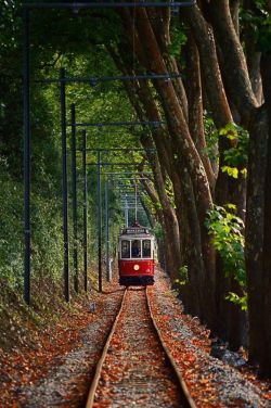 wow4any:  Sintra tram by Paulo Costa 