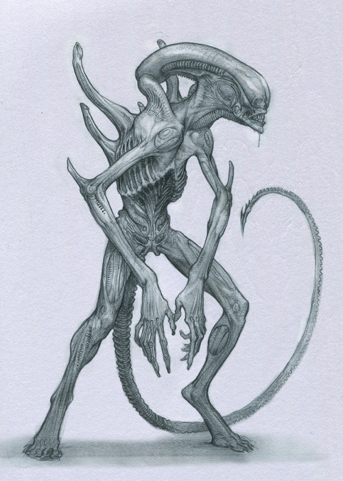 yutani-corporation:Anastasios Gionis