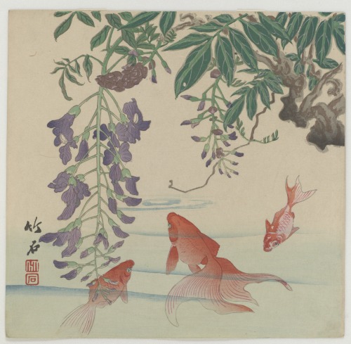 kecobe: Goldfish and WisteriaNagamachi Chikuseki 長町竹石 (Japanese; 1747–1806)undatedWoodblock pr