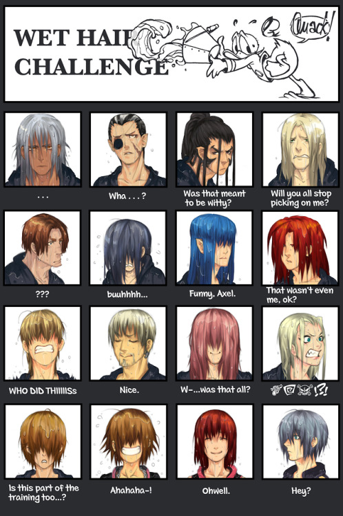 Fun fact: Xemnas ain’t even mad.So I wanted to check how it’d kinda look like if their hair weren’t 