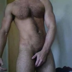 lundraja:  okgetstarted:  Nice hairy  Shy!