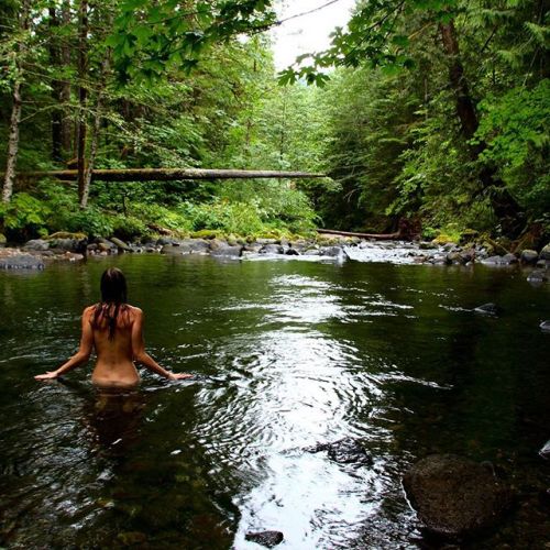 thetoplesstour:  #lifeisbeautiful #keepingitwild #rewildyourlife #stillcreek #creek #exploreoregon #explore #cabininthewoods #cabinbytheriver #downbytheriver #mthood #OMHT #cascadiaexplored #photooftheday #upperleftusa #stream #nature #naturephotography