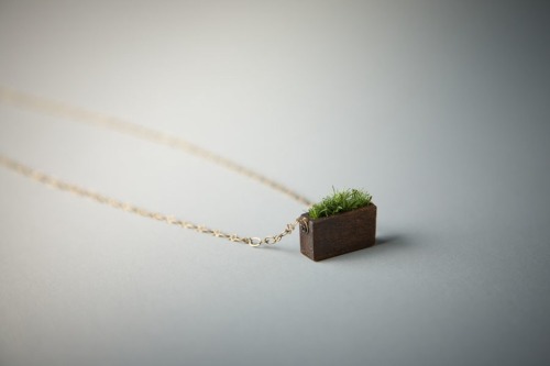 myampgoesto11:Hand made wood and grass mini planter jewelry by Mr. Lentz  “I create and design funct