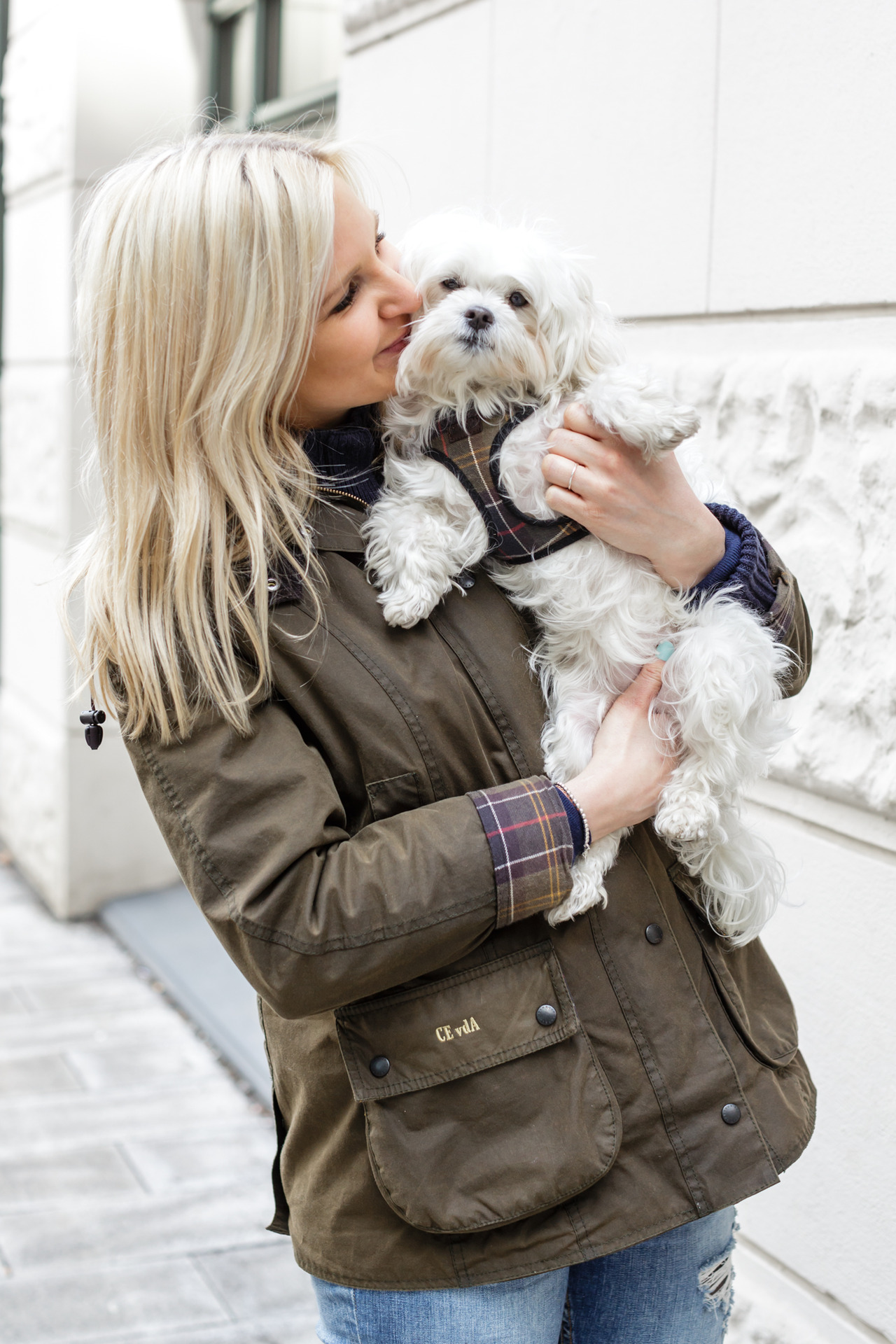 barbour tartan dog harness