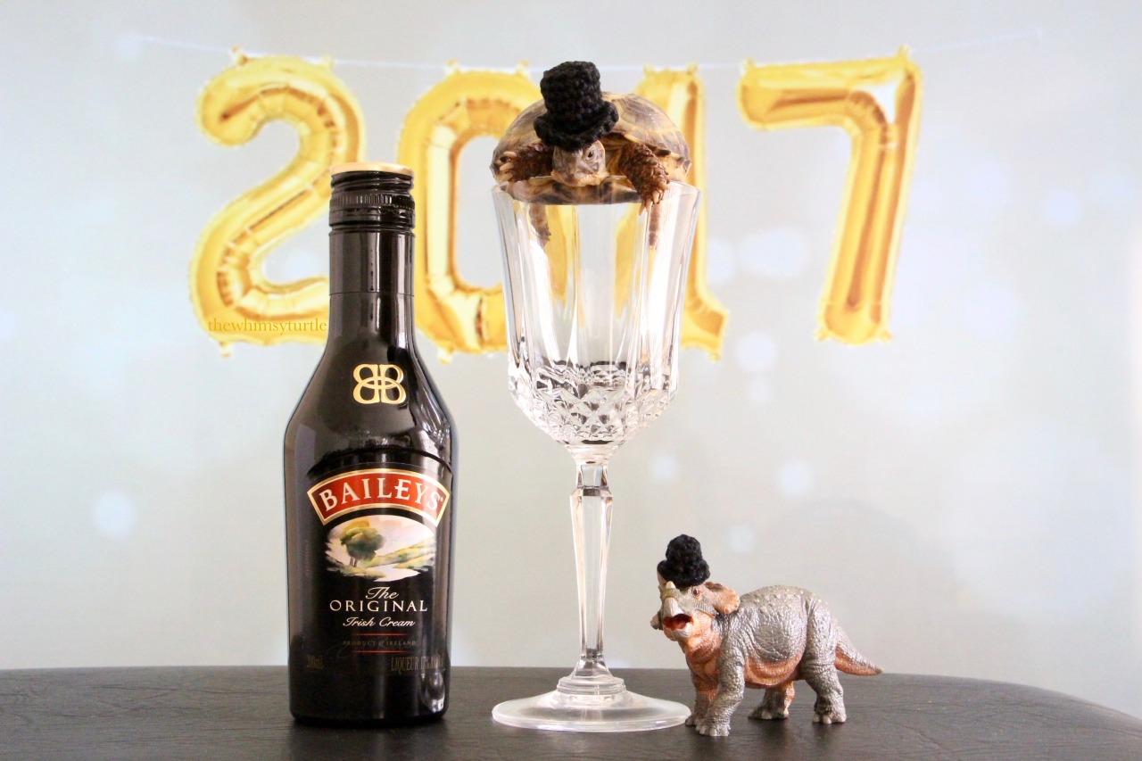 thewhimsyturtle:  thewhimsyturtle:  🎉🎩🐢  Happy New Year, Tumblr!  🥂🍾🎊