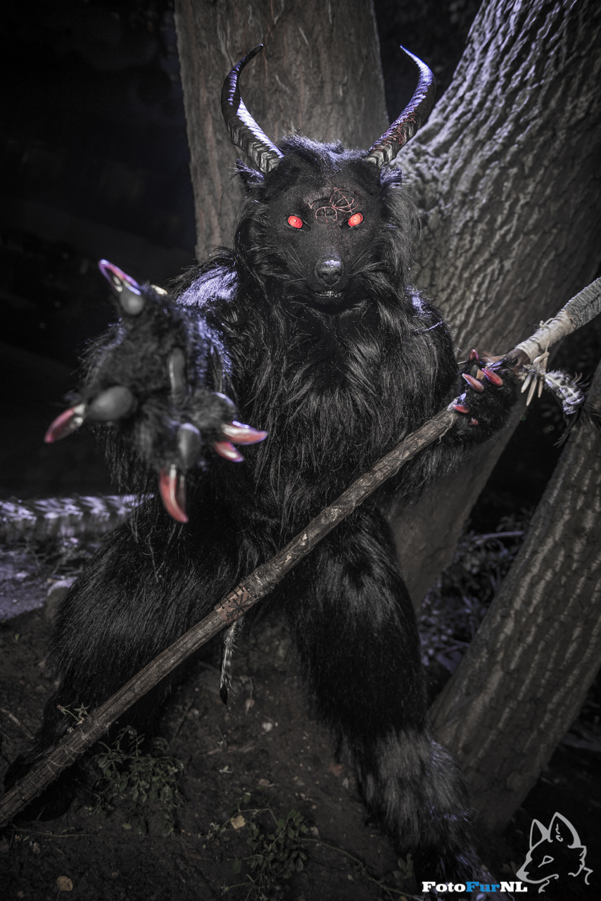 Fotofurnl Fursuit Photography Fotofurnl Fursuit Photography