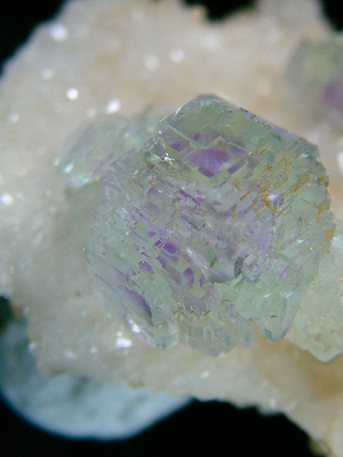 fuckyeahmineralogy:Fluorite with complex crystal habit on calcite matrix - Shangbao Mine, Leiyang Co