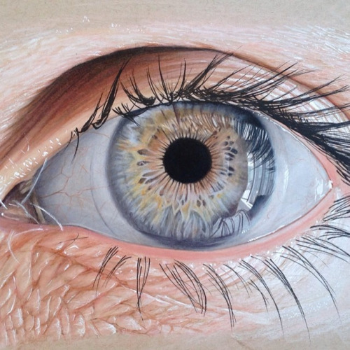 actegratuit:  Jose Vergara aka Redosking creates incredibly detailed eye drawings using colored pencils.