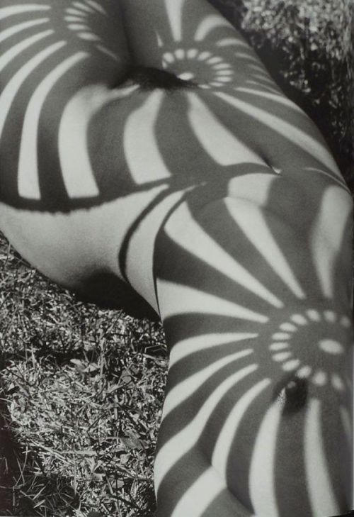 herb ritts