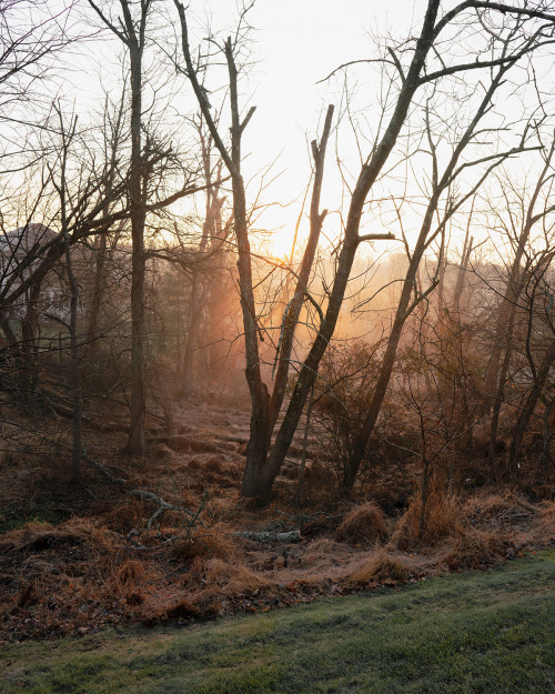 Sunrise in New Jersey / Sunset in Jerusalem (2020) by Hannah Altman