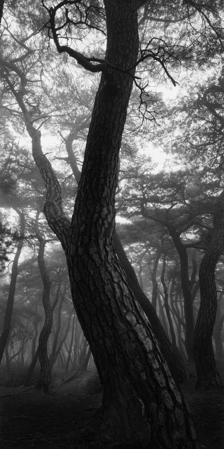 blue-voids:  Bae Bien-u