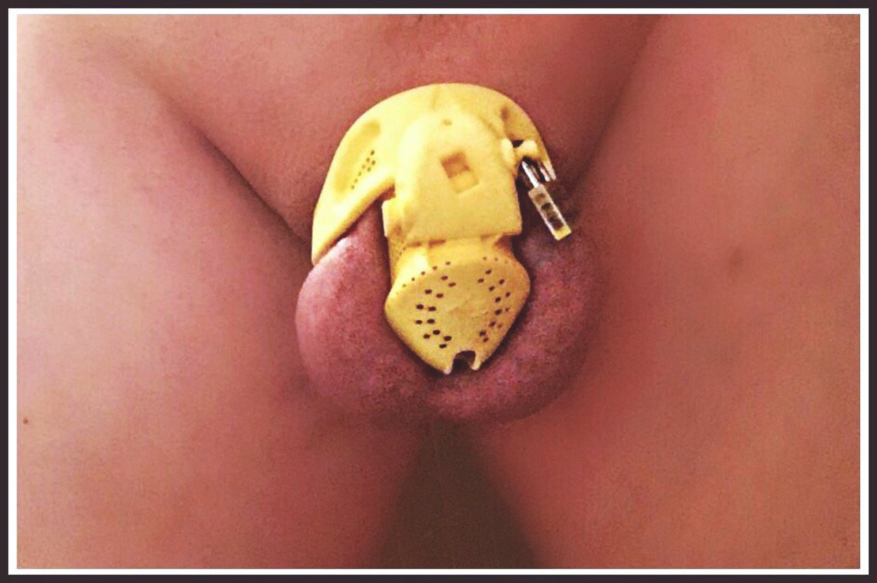 chastechron:  (via TumbleOn)   which model is this and where can i get one??????
