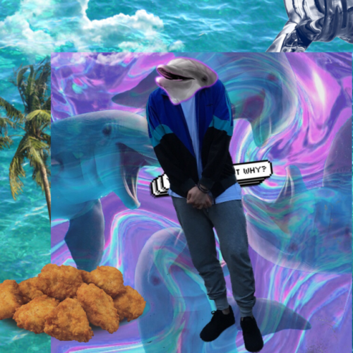 fetchedfaker:Dolphins and 9 nuggets Badgyal