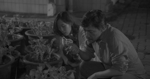  Hong Sang-soo - Grass2018 