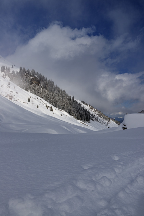 Winter wonderland - Zillertal, Austria, February 2022photo by: nature-hiking