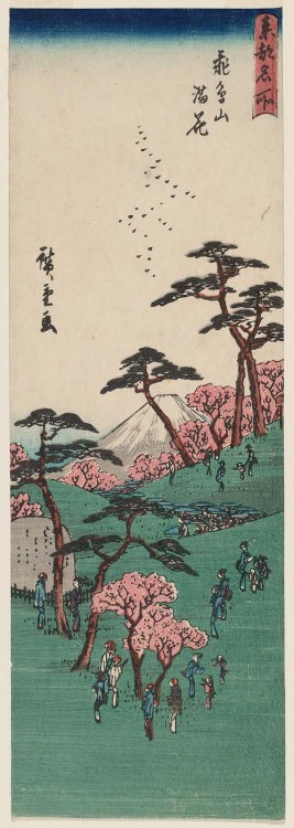 Cherry Blossoms in Full Bloom at Asuka Hill (Asukayama manka 飛鳥山満花),  from the series Famous Hills i