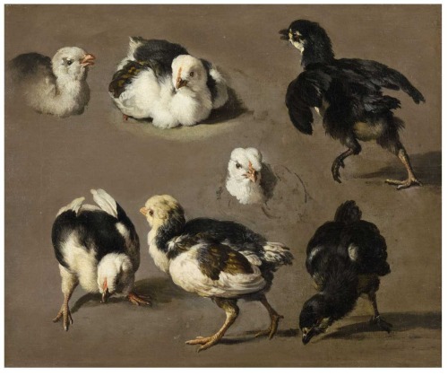 Melchior de Hondecoeter, Study for chicks, 17th century. Oil on canvas. Via Lempertz