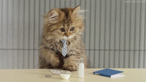 thebabyanimals:beautiful blog full of baby animals!