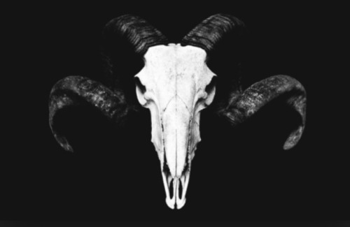 theblasphemy666:  On Your Altar I offer my soul Please accept my soul On Your Altar I offer my body Please accept my body On your Altar I honor You Please accept my veneration  On Your Altar I blaspheme the xrist of Nazareth and curse all your enemies