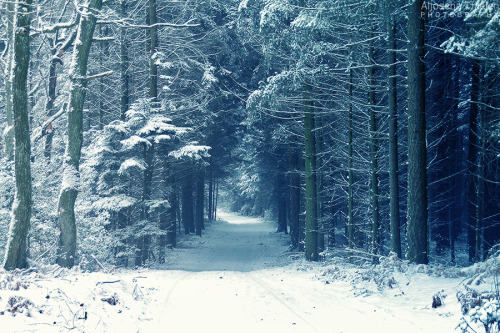 isawatree:   Frozen Time by *AljoschaThielen 