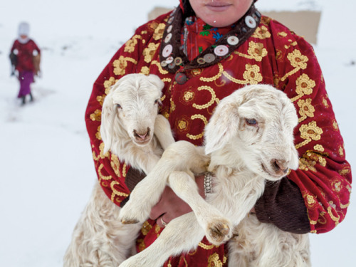 talkingtofrida:Nomads by necessity, the KyrgyzA girl carries a pair of lambs to be reunited with the