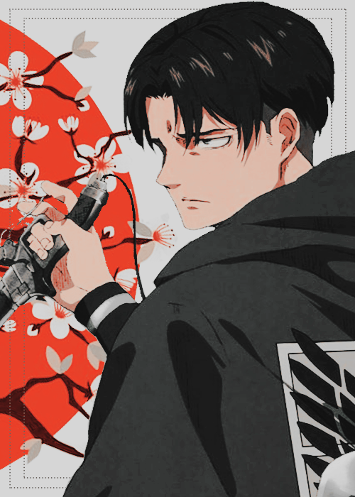 nanakorobiyaokii: *:ﾟ*:ﾟ*｡⋆ฺ*:ﾟ*｡⋆ฺ「 LEVI ACKERMAN 」*:ﾟ*｡⋆ฺ*:ﾟ*｡⋆ฺ*:ﾟ*