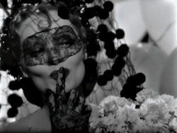 zestyblog:  Marlene Dietrich 