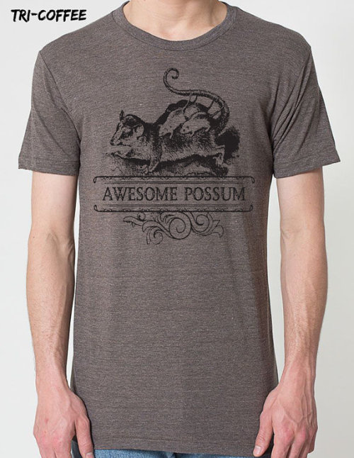 &lsquo;awesome possum&rsquo; tee - $15 buy it here!