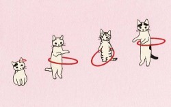 saintofsxe:  chelsamander:      Cats &amp; Hoops. That’s all that’s needed here.