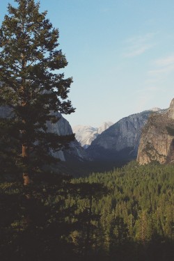 wonderous-world:  Yosemite National Park, California, USA by Analog Sylvain