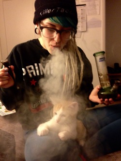 hante:  officialcrow:  shroom-goddess:  bunnyvegan:  fightingforanimals:  shroom-goddess:  skylordd:  shroom-goddess:  Smoking with my cousin &amp; her kitten Toby is the cutest lil thing ever😽💨💕  Do not fucking blow smoke anywhere near a pet.