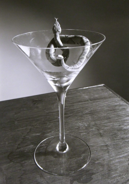 ohyeahpop: Copperhead Martini, 1996 - Ph. Robert Langham III