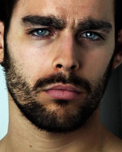 biblogdude:  Look at all that hot hair! 