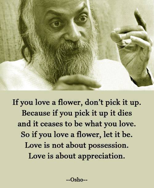 valfar:  Osho <3 