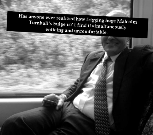 “Has anyone ever realized how frigging huge Malcolm Turnbull’s bulge is? I find it simultaneou