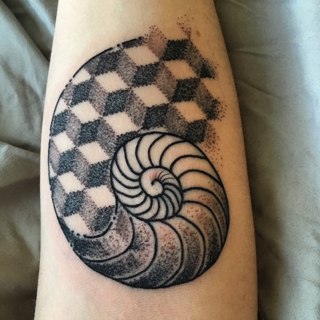 watercolor nautilus shell tattoo  I tattoo at Tattoo Boogal  Flickr