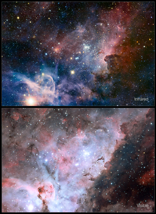 Infrared/visible-light comparison of the Carina Nebula js