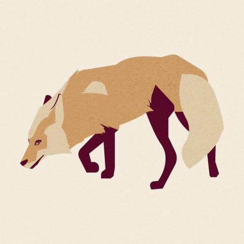 These are practices of abstracting a character, done in Adobe illustrator. #fox #illustration #illus