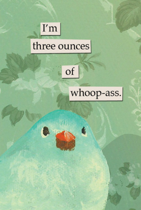 A Song of Ice and Fire + Troubled Birds