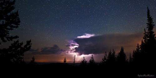 Who doesn’t Love Lightning by Dylan MacMaster on Flickr.