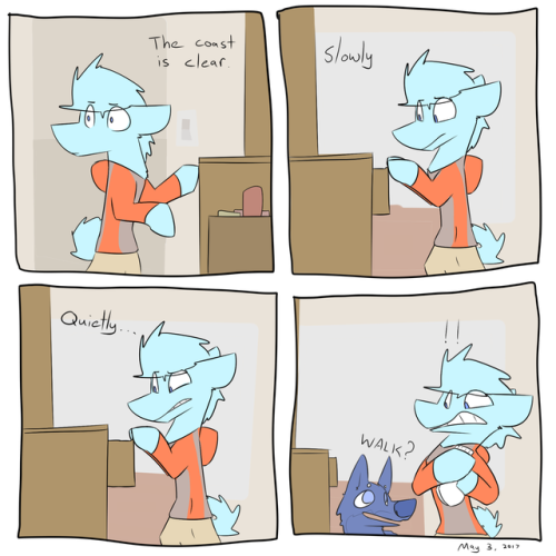 dogstomp: The sound of socks  x3 D’aww hehe~