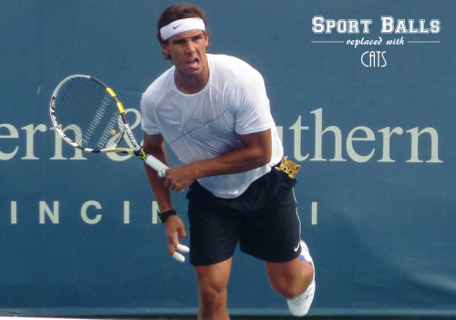 sportballsreplacedwithcats:  We all know Nadal’s playing style is not exactly the “serve